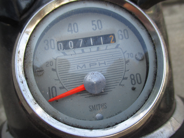 IMG-3659.jpg