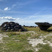 IMG-1555