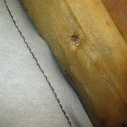 IMG-8659