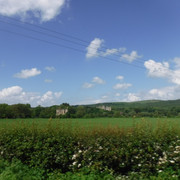 DSCF7938