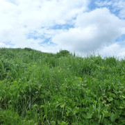 P1320409
