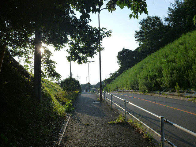 P1340745.jpg