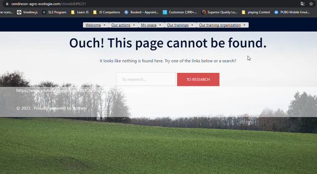 page-not-found