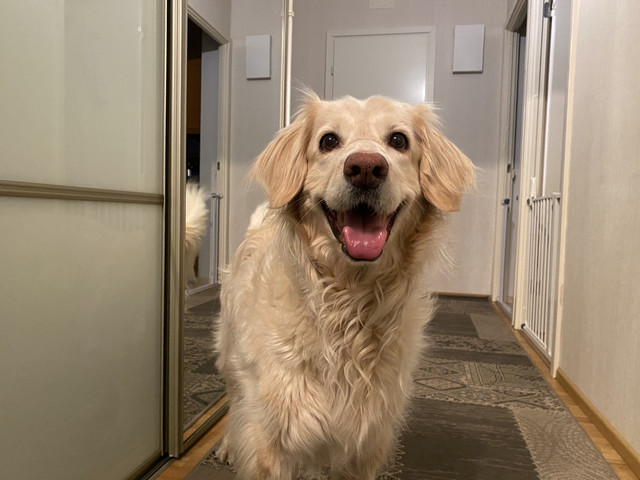 6-B4-A6744-88-D9-4560-88-D0-ED321-C937-E