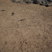 DSC01037