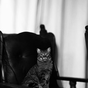 Processed-with-Focos