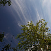 1002a0145m