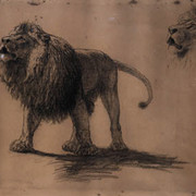 Lion-Studies