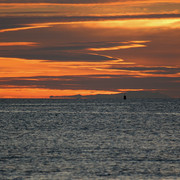 IMG-3221