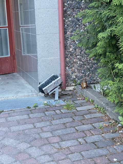 5955972-A-24-AF-41-F7-8680-24-D83197-D9-