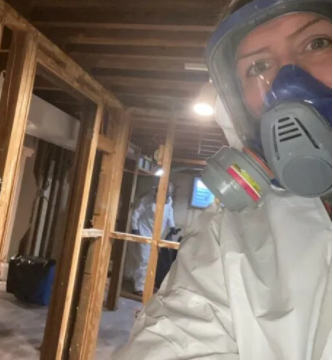 Mold-Removal-Mississauga