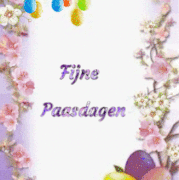 11.gif