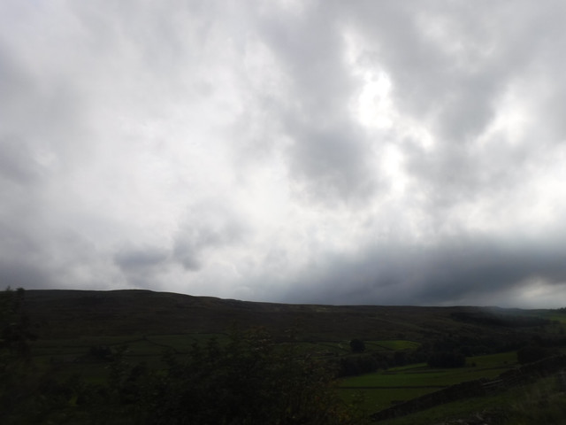 DSCF7668.jpg