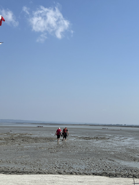 IMG-6472