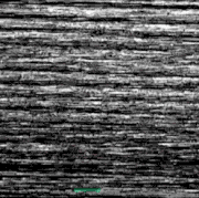 Gif-31.gif