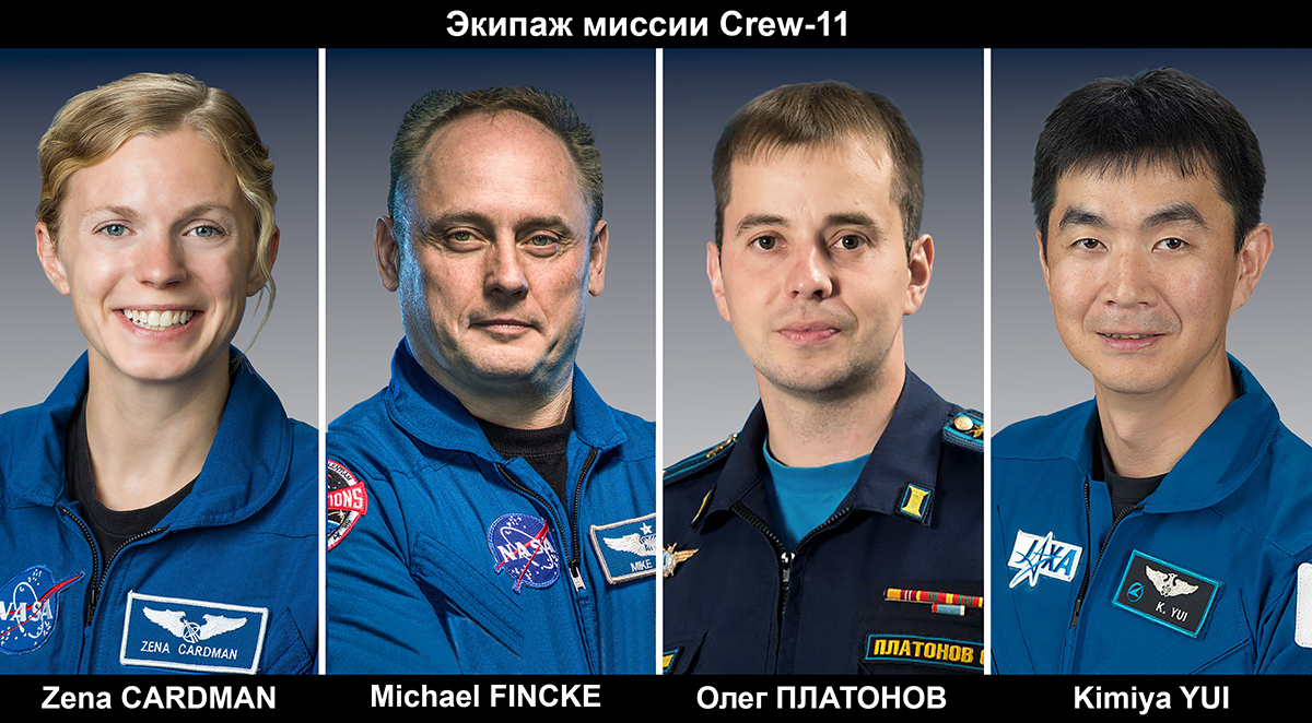 https://i.ibb.co/pgXjMJ4/Crew-11-1200.jpg