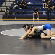 IMG-0334