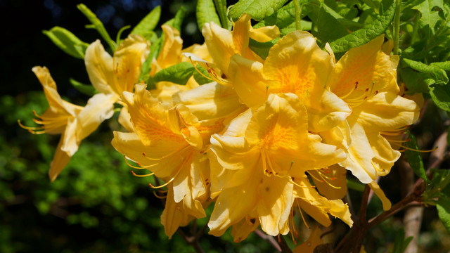 2014050721245970b