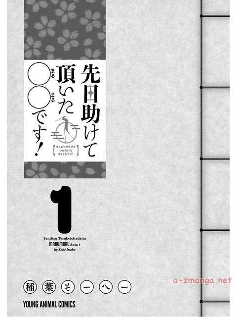 DLRAW-NET-0003