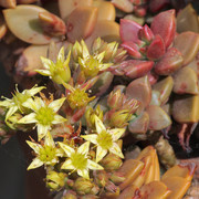 IMG-7854