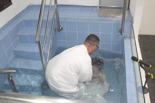 IMG-0442.jpg