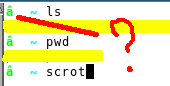 photoeditorsdk-export-2.png