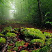 wallpaperbetter-com-1920x1080fewwe