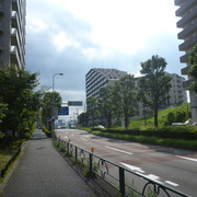 P1350247