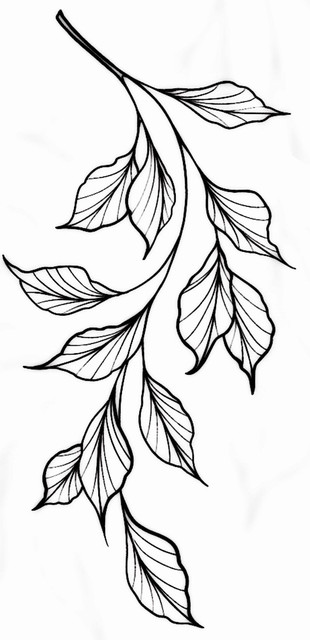 1a9f4cc4c9e2c49ca140235b10a76fa0.jpg