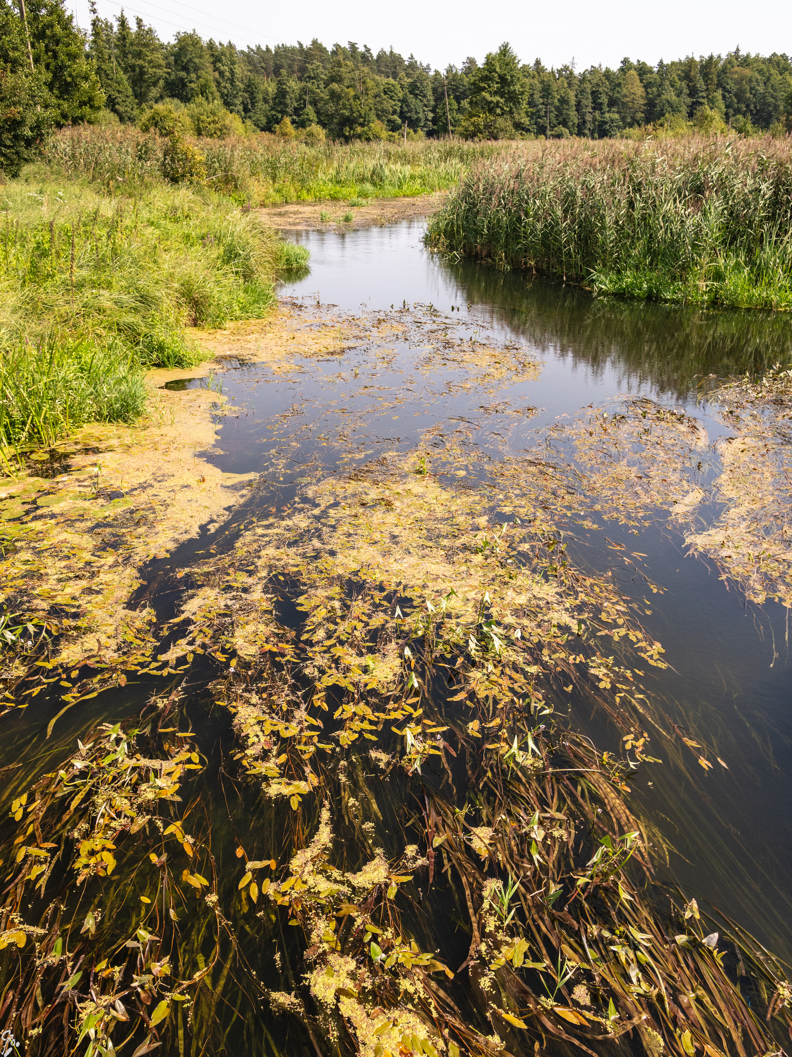 podlasie3 d4 18