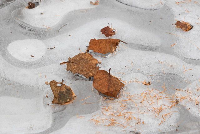 DSCF5872.jpg