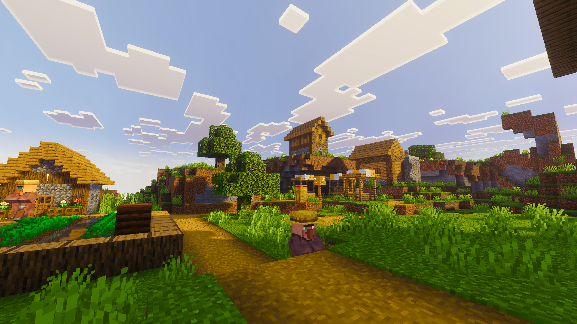 Village Daylight