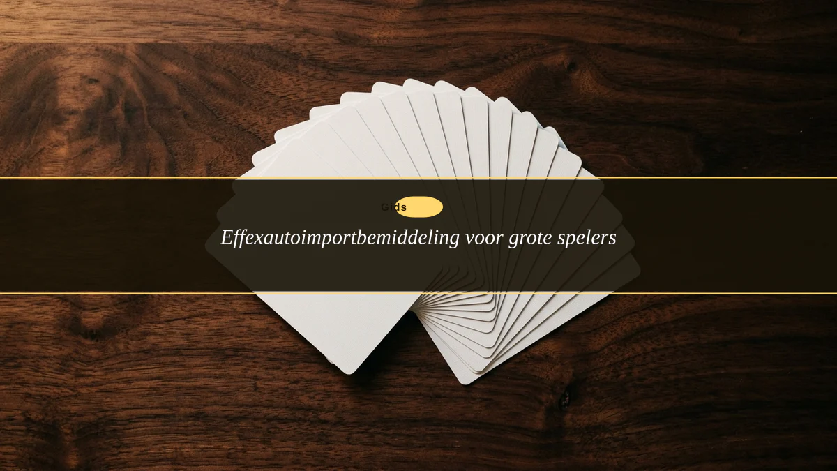 Effexautoimportbemiddeling voor grote spelers