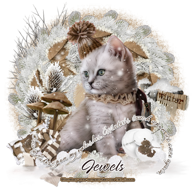 conniecat
