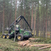 IMG 4663
