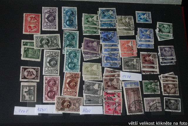 IMG-3187.jpg