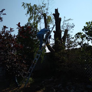 Motta Backyard (11)