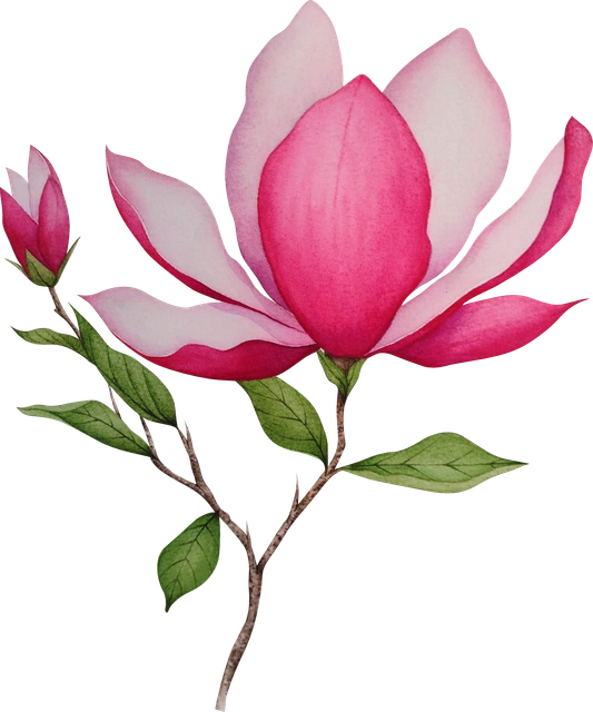 fa0e26531a07b5b9e9afe59134987016.png