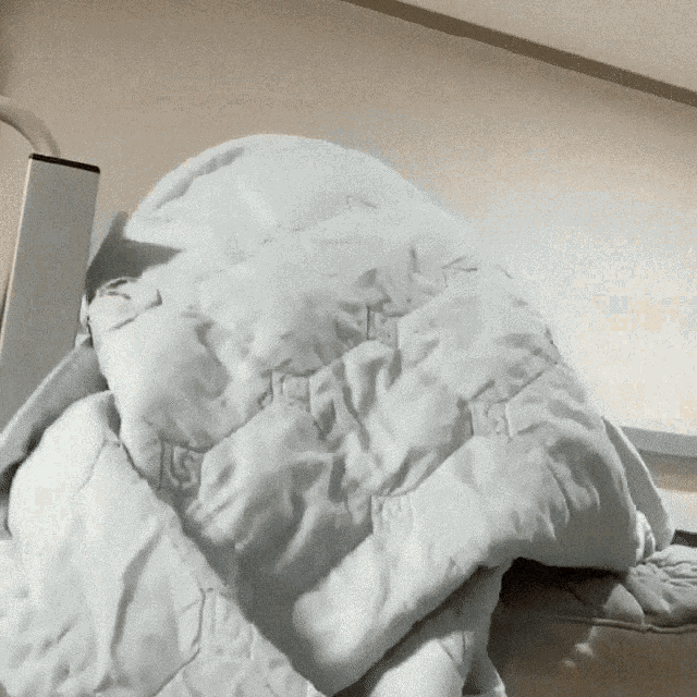 Image.gif