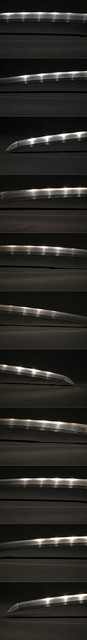 DSC7125.jpg