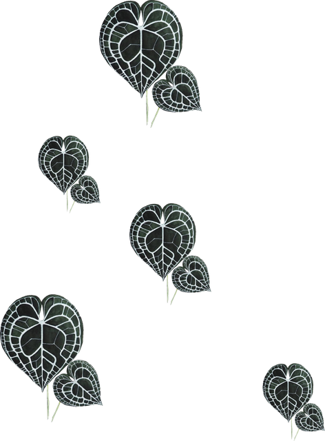 d1348d661a97e7a4238f549df3539b40.png