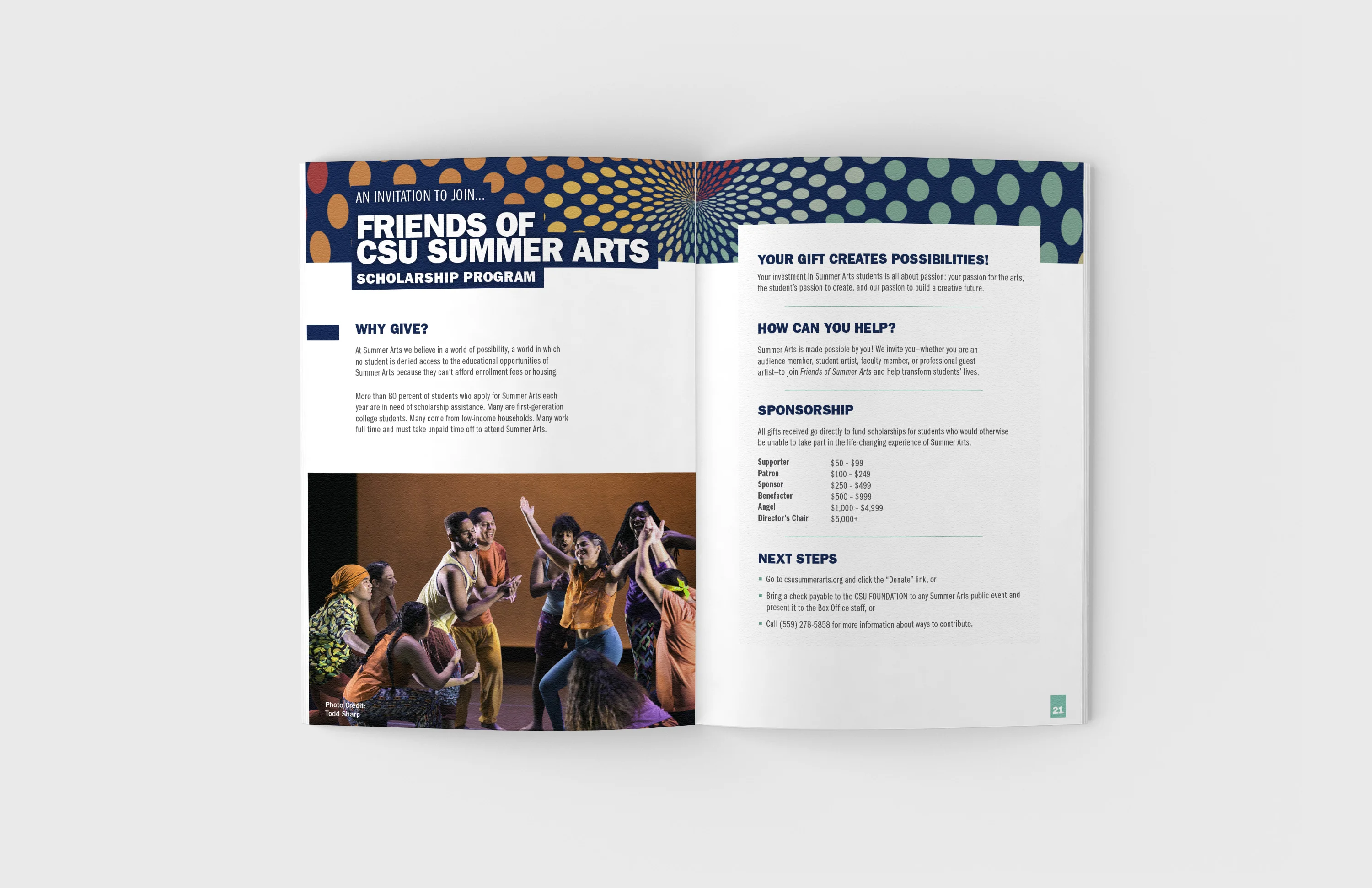 CSU Summer Arts collateral
