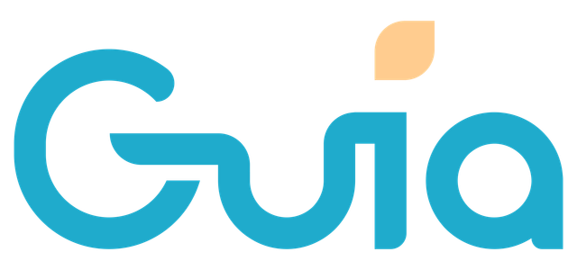 Guia Learning Solutions