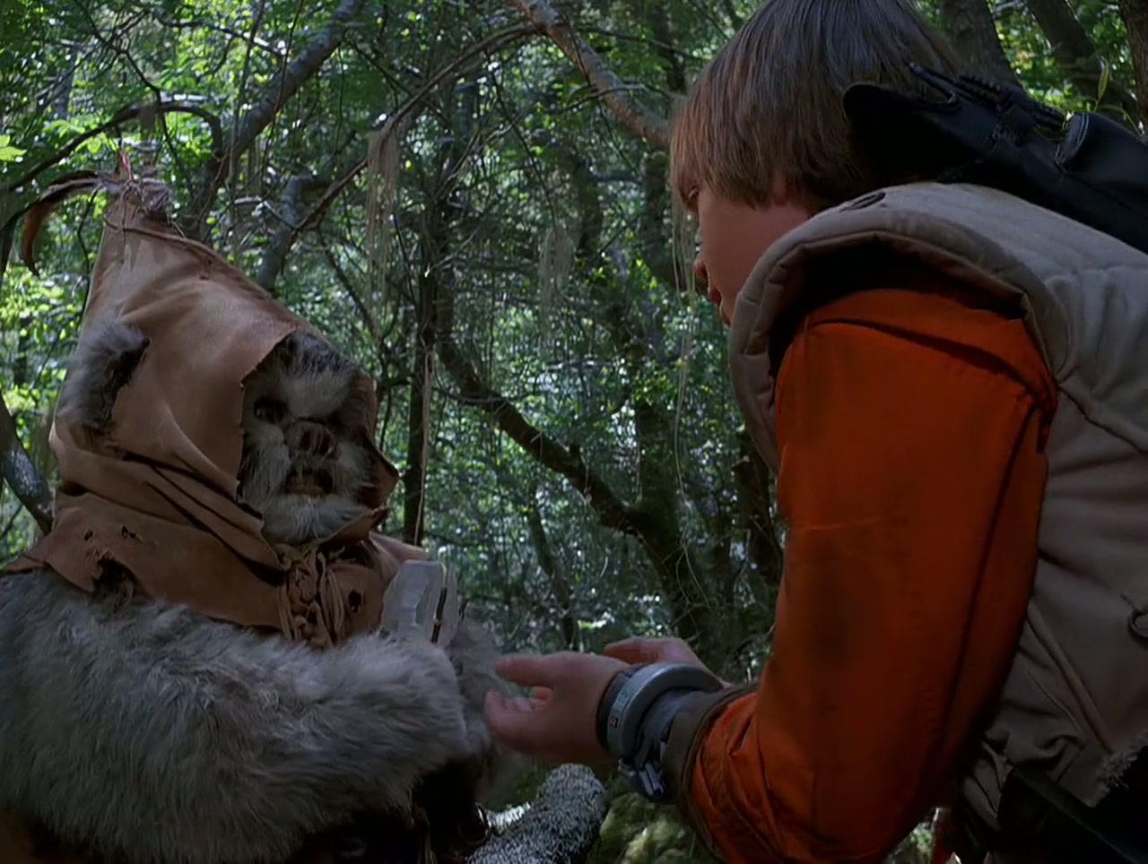 The Ewok Adventure Screenshot