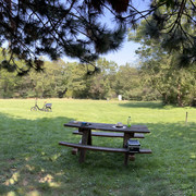IMG-9953