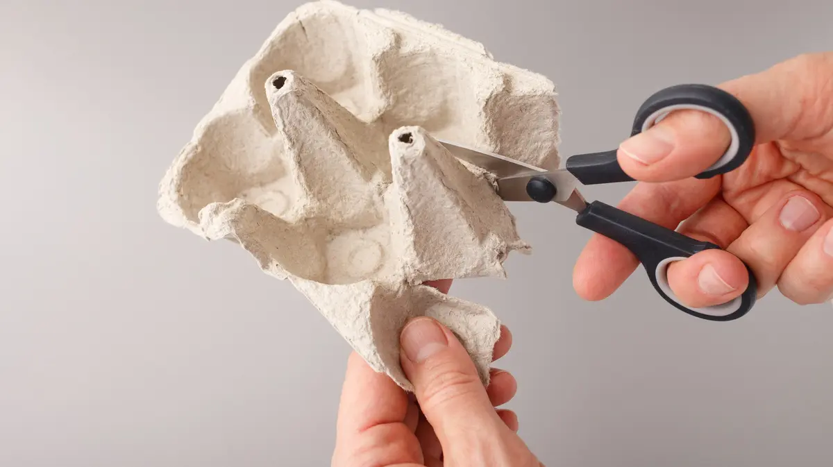 De la cutia de ouă la vaza de designer: un proiect DIY sustenabil