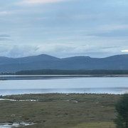 IMG 6009