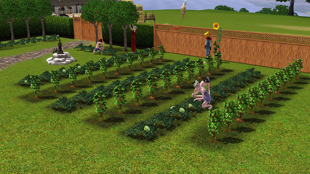 Screenshot 16.jpg