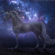 Galaxy-Pony-Bio