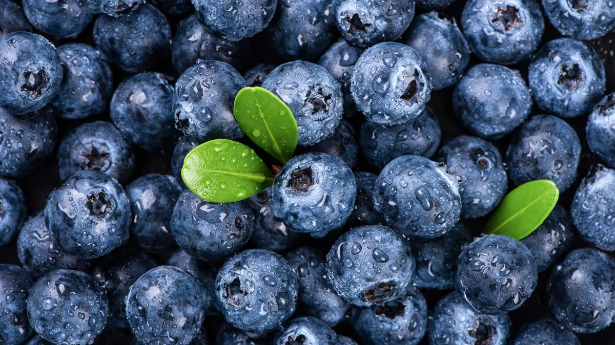 The Truth About Blueberry Flavor: It's Not Just About Size